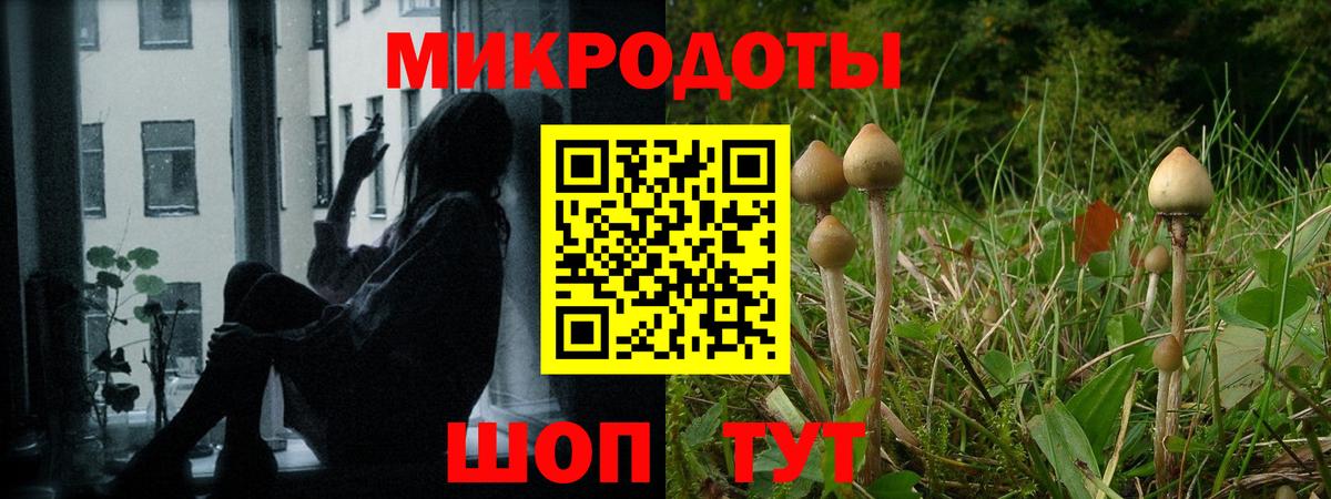 Галлюциногенные грибы MAGIC MUSHROOMS Елизово